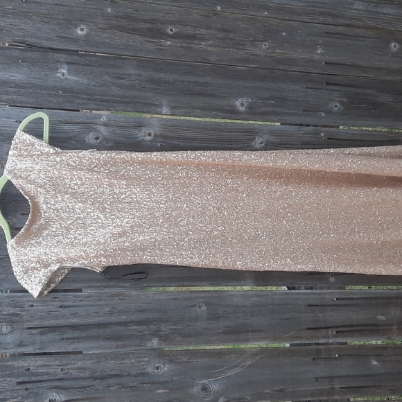 Sorella Vita SV Gold Sequin Dress Low Back Size 10 Gorgeous Gown Bridal Prom - Picture 6 of 16